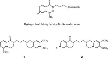 Graphical abstract: Rigid versus flexible anilines or anilides confirm the bicyclic ring as the hydrophobic portion for optimal σ2 receptor binding and provide novel tools for the development of future σ2 receptor PET radiotracers