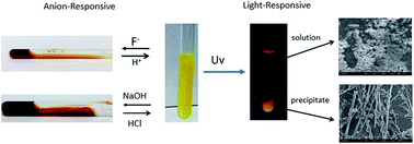 Graphical abstract: Multistimuli-responsive organogels based on hydrazide and azobenzene derivatives