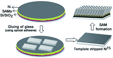 Graphical abstract: Fabrication of ultra-smooth and oxide-free molecule-ferromagnetic metal interfaces for applications in molecular electronics under ordinary laboratory conditions