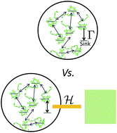 Graphical abstract: On thermodynamic inconsistencies in several photosynthetic and solar cell models and how to fix them