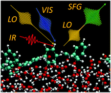 Graphical abstract: Structure at the air/water interface in the presence of phenol: a study using heterodyne-detected vibrational sum frequency generation and molecular dynamics simulation