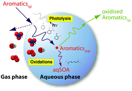 Graphical abstract: Oxidation of substituted aromatic hydrocarbons in the tropospheric aqueous phase: kinetic mechanism development and modelling