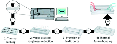 Graphical abstract: Thermal scribing to prototype plastic microfluidic devices, applied to study the formation of neutrophil extracellular traps