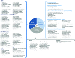 Graphical abstract: From direct to indirect lithium targets: a comprehensive review of omics data