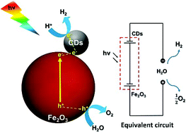 Graphical abstract: Cascaded photo-potential in a carbon dot-hematite system driving overall water splitting under visible light