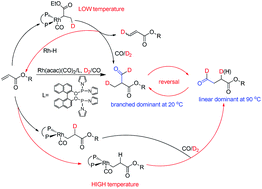 Graphical abstract: Selective hydroformylation of alkyl acrylates using [2,2′-bis(dipyrrolylphosphinooxy)-1,1′-(±)-binaphthyl]/Rh catalyst: reversal of regioselectivity