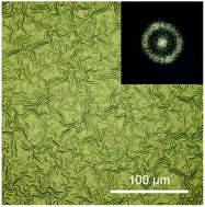 Graphical abstract: Enhanced light scattering effect of wrinkled transparent conductive ITO thin film