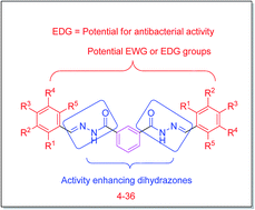 Graphical abstract: Promising bactericidal approach of dihydrazone analogues against bio-film forming Gram-negative bacteria and molecular mechanistic studies