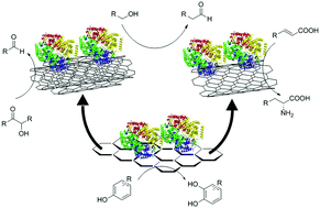 Graphical abstract: Advances in biotechnological synthetic applications of carbon nanostructured systems