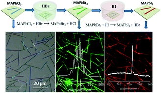 Graphical abstract: Multi-color perovskite nanowire lasers through kinetically controlled solution growth followed by gas-phase halide exchange