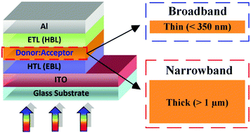 Graphical abstract: Recent advances in organic near-infrared photodiodes