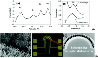 Graphical abstract: Electrochemical microfluidics techniques for heavy metal ion detection