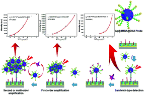 Graphical abstract: SERS-based cascade amplification bioassay protocol of miRNA-21 by using sandwich structure with biotin–streptavidin system