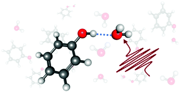 Graphical abstract: Vibrational predissociation of the phenol–water dimer: a view from the water