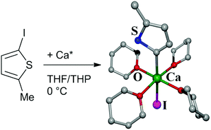 Graphical abstract: 5-Methyl-2-thienylcalcium iodide