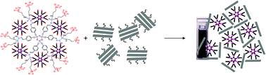 Graphical abstract: Interfacial complexation driven three-dimensional assembly of cationic phosphorus dendrimers and graphene oxide sheets