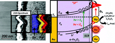 Graphical abstract: Harvesting resonantly-trapped light for small molecule oxidation reactions at the Au/α-Fe2O3 interface