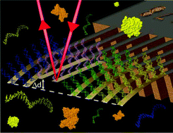 Graphical abstract: Towards personalised rapid label free miRNA detection for cancer and liver injury diagnostics in cell lysates and blood based samples