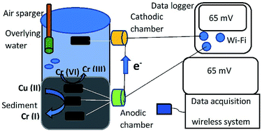 Graphical abstract: Electrochemistry and microbiology of microbial fuel cells treating marine sediments polluted with heavy metals