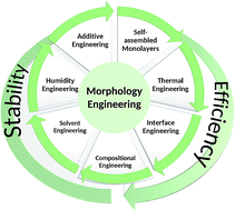 Graphical abstract: A review on morphology engineering for highly efficient and stable hybrid perovskite solar cells