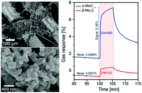 Graphical abstract: Molybdenum carbide chemical sensors with ultrahigh signal-to-noise ratios and ambient stability