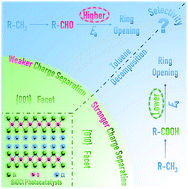 Graphical abstract: Probing ring-opening pathways for efficient photocatalytic toluene decomposition