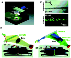 Graphical abstract: A smartphone-based biomedical sensory system