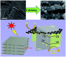 Graphical abstract: Truncated octahedral bipyramidal TiO2/MXene Ti3C2 hybrids with enhanced photocatalytic H2 production activity