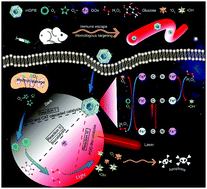 Graphical abstract: Remote-controlled multi-enzyme system for enhanced tumor therapy via dark/light relay catalysis