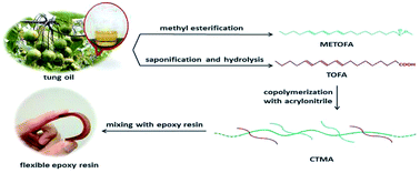 Graphical abstract: A renewable tung oil-derived nitrile rubber and its potential use in epoxy-toughening modifiers
