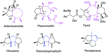 Graphical abstract: Transition metal catalyzed [6 + 2] cycloadditions