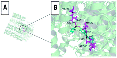 Graphical abstract: Biological activity evaluation and action mechanism of chalcone derivatives containing thiophene sulfonate