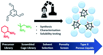 Graphical abstract: Accelerated robotic discovery of type II porous liquids