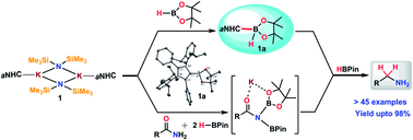 Graphical abstract: Transition metal-free catalytic reduction of primary amides using an abnormal NHC based potassium complex: integrating nucleophilicity with Lewis acidic activation