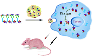 Graphical abstract: A self-assembled RNA-triple helix hydrogel drug delivery system targeting triple-negative breast cancer