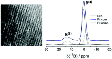 Graphical abstract: Effect of boron incorporation on the bioactivity, structure, and mechanical properties of ordered mesoporous bioactive glasses