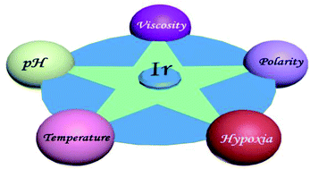 Graphical abstract: Microenvironment-sensitive iridium(iii) complexes for disease theranostics