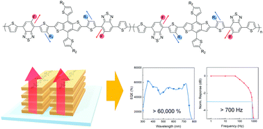 Graphical abstract: A regioregular donor–acceptor copolymer allowing a high gain–bandwidth product to be obtained in photomultiplication-type organic photodiodes