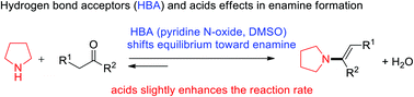 Graphical abstract: Revisiting the role of acids and hydrogen bond acceptors in enamine formation