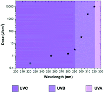 Graphical abstract: Spectrum of virucidal activity from ultraviolet to infrared radiation