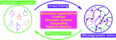 Graphical abstract: Inherently degradable cross-linked polyesters and polycarbonates: resins to be cheerful