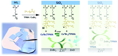 Graphical abstract: Mechanism and application of surface-initiated ATRP in the presence of a Zn0 plate