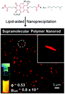 Graphical abstract: Confined supramolecular polymers in water with exceptional stability, photoluminescence and chiroptical properties