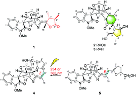 Graphical abstract: Gelserancines A–E, monoterpenoid indole alkaloids with unusual skeletons from Gelsemium elegans