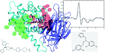 Graphical abstract: Impact of azole drugs on energetics, kinetics, and ligand migration pathways of CO photo-dissociation in bacterial flavohemoglobins