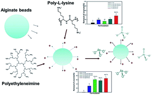 Graphical abstract: Synthesis of alginate–polycation capsules of different composition: characterization and their adsorption for [As(iii)] and [As(v)] from aqueous solutions