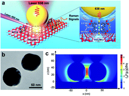 Graphical abstract: In situ Raman study of the photoinduced behavior of dye molecules on TiO2(hkl) single crystal surfaces