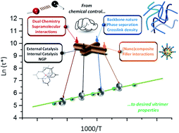 Graphical abstract: Vitrimers: directing chemical reactivity to control material properties