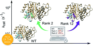 Graphical abstract: Enhancing a de novo enzyme activity by computationally-focused ultra-low-throughput screening