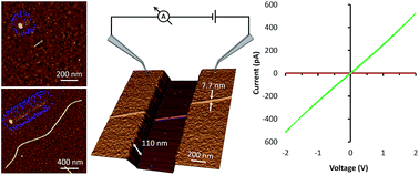 Graphical abstract: Bottom-up device fabrication via the seeded growth of polymer-based nanowires